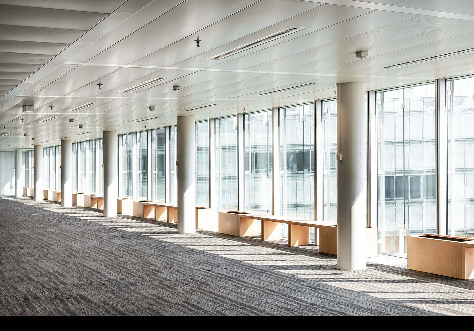 LINK Geneva Office Floor